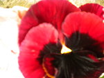 DSCN1756.JPG