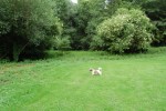DSC_0188-web.jpg