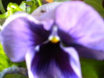 DSCN1782.JPG