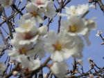 DSCN1759.JPG