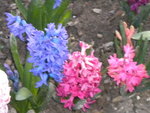 DSCN1846.JPG