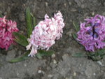 DSCN1844.JPG