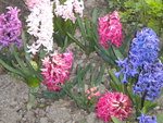 DSCN1842.JPG