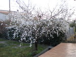 DSCN1841.JPG