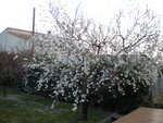 DSCN1840.JPG