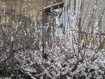 DSCN1832.JPG