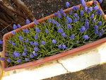 DSCN1826.JPG