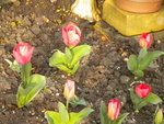 DSCN1820.JPG