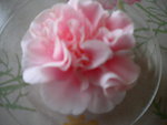 DSCN1813.JPG