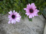 DSCN1760.JPG