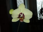 DSC01331.JPG