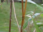 IMG_1281.JPG