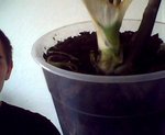 Snapshot_20110314_2.jpg