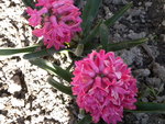 DSCN1784.JPG