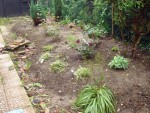 mon jardin.jpg