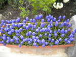 DSCN1872.JPG