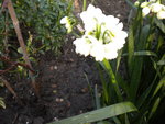 DSCN1828.JPG