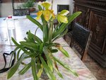 IMG_0601b.jpg