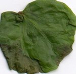 img024.jpg