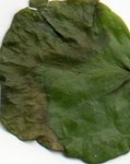 img025.jpg