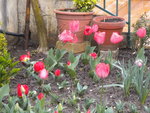 DSCN1892.JPG
