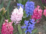 DSCN1845.JPG