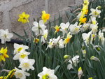 DSCN1859.JPG