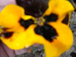 DSCN1865.JPG