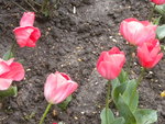 DSCN1899.JPG