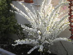 DSCN1938.JPG