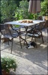les 2 chats+un copain.jpg