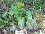 DSCN2825.JPG