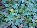 DSCN2844.JPG
