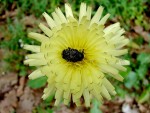 DSC00057.JPG