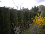 DSCN1966.JPG