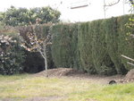 DSCN1968.JPG