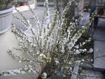 DSCN1909.JPG