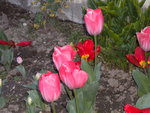 DSCN1916.JPG