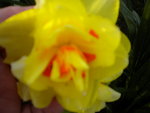 DSCN1933.JPG