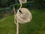 DSCN3637.JPG