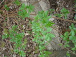 DSC07507.JPG