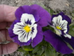 DSCN1864.JPG