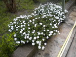 DSCN1890.JPG