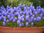 DSCN1894.JPG