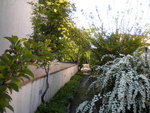 DSCN0696.JPG