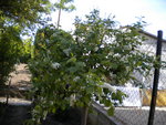 DSCN0698.JPG
