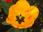 DSCN1958.JPG