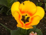 DSCN1959.JPG