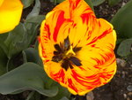 DSCN1960.JPG