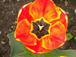 DSCN1961.JPG